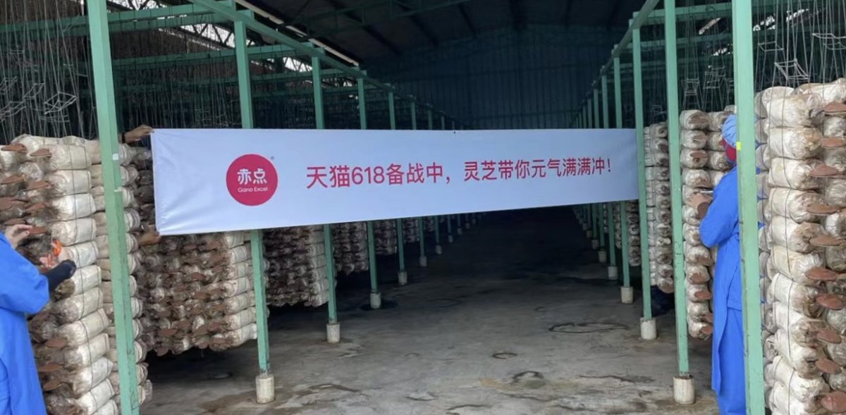 澳门威斯尼斯天猫618全球品牌动起来！挪威渔场、荷兰牧场、马来西亚灵芝园齐聚天猫(图2)