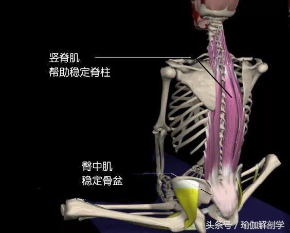 有效缓解经期疼痛的瑜伽束角式你做对了吗？(图4)