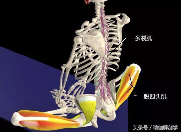 有效缓解经期疼痛的瑜伽束角式你做对了吗？(图7)