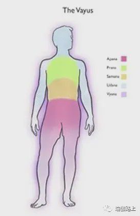 澳门威斯尼斯瑜伽说的五行气是什么？(图2)