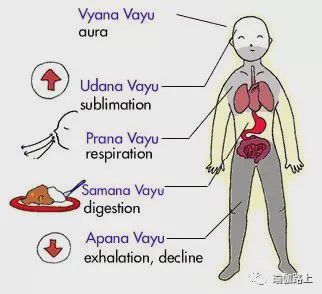 澳门威斯尼斯瑜伽说的五行气是什么？(图6)