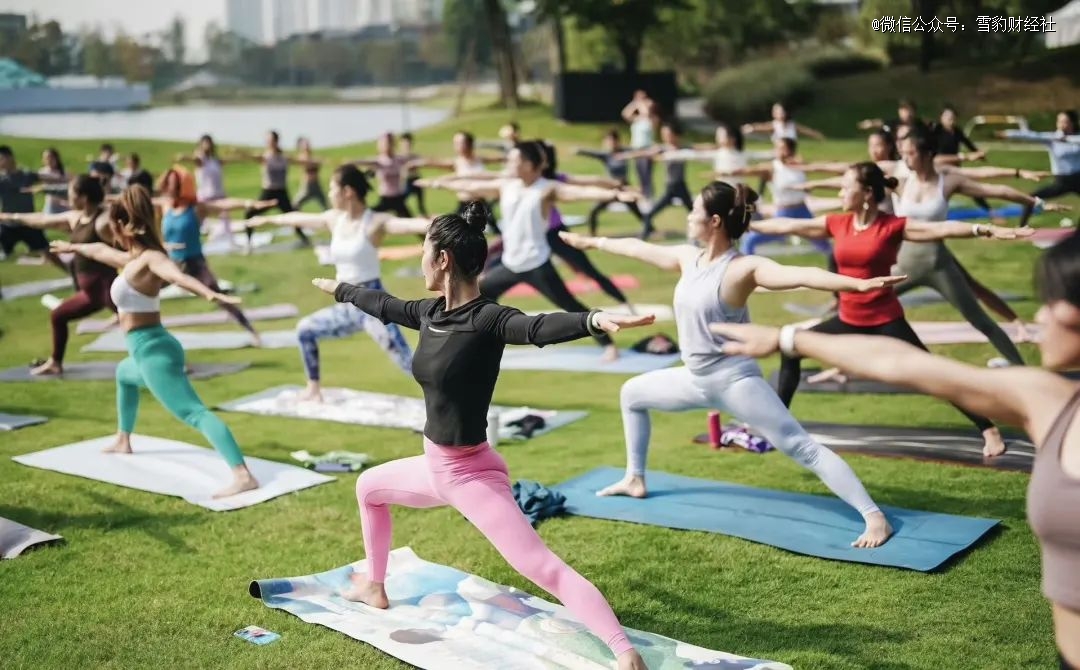 平替环伺 lululemon「瑜伽界爱马仕」没有秘密(图2)