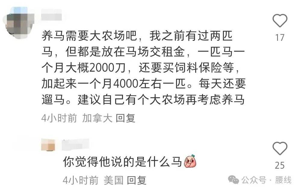 澳门威斯尼斯湾区码农哭穷：35万美元年薪根本养不起马(图6)